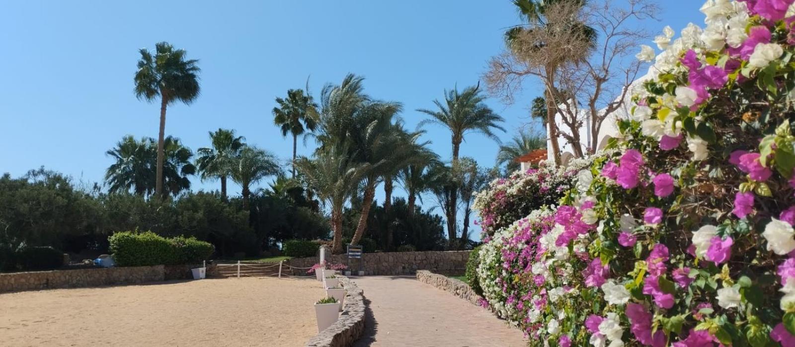 Privata Al Domina Club Acquamarine, Coral Bay, E Casino. Charm el-Cheikh