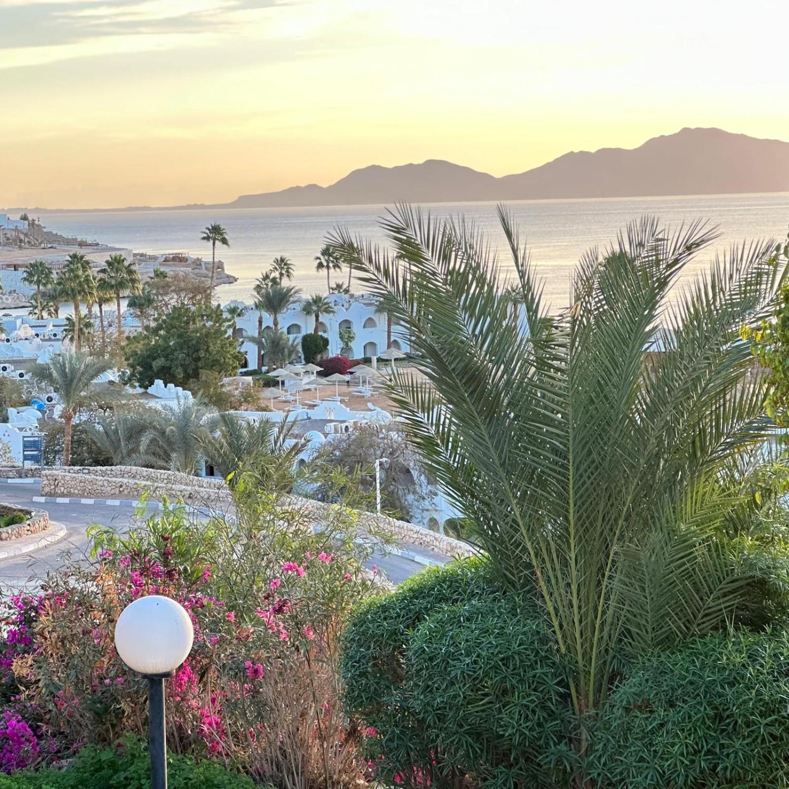 Privata Al Domina Club Acquamarine, Coral Bay, E Casino. Appartement *